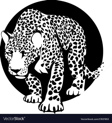 Black And White Silhouette Of A Leopard In A Black