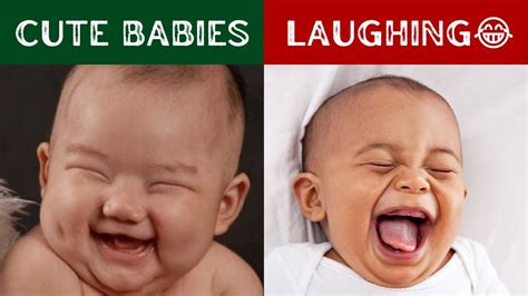 Cute Funny Babies Laughing Hysterically With Mom Dad And Dog Youtube
