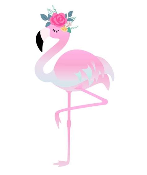 Top A Of A Flamingo Cartoon Clip Art Vector Graphics And Illustrations