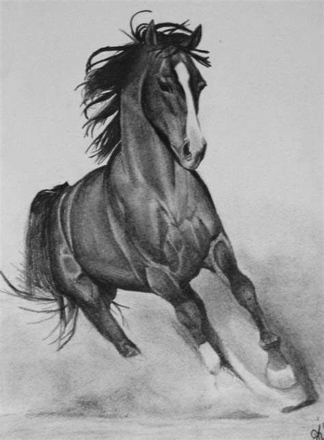 horse  drawings  deviantart