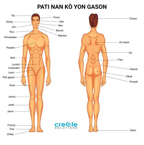 Look at the picture and name the parts of nick's body. Anatomy Illustrations - Medical Creole