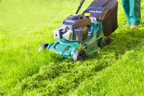10 Best Mulching Lawn Mowers 2023 Reviews Garden Mega