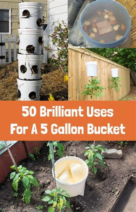 50 Brilliant Uses For A 5 Gallon Bucket Bucket Gardening Container