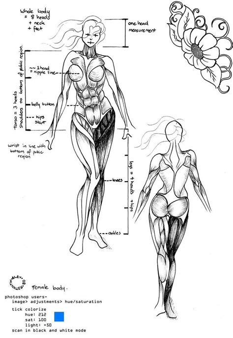 Female Body Reference By Wynnter89 Body Reference Female Bodies Anatomy Reference