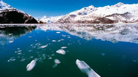 Glacier Bay Bay Alaska United States Britannica