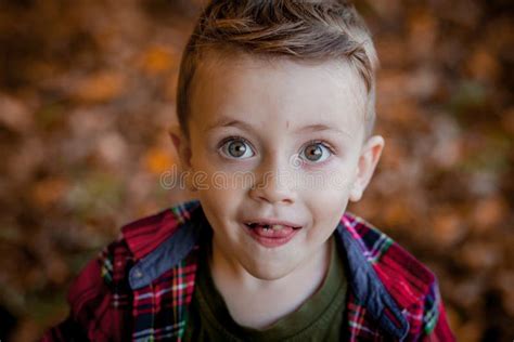 Portrait Of Beautiful Smiling Little Boy At Autumn Park Stock Image
