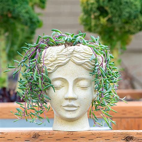 Head Planter For Flat Surface And Wall Mount These Elegant Face Pots For Plants
