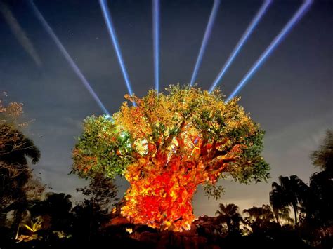 Tree Of Life Awakenings And Beacon Of Magic Resume October 1 At Disney