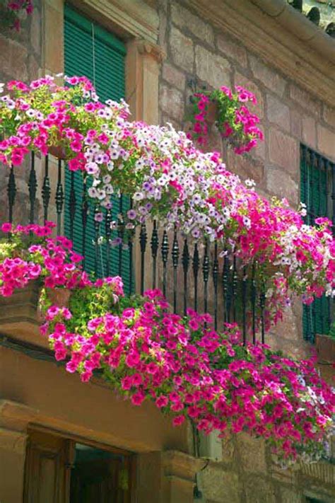 Top 20 Spectacular Balcony Gardens That You Must See Architecture