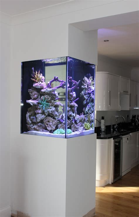 35 Unusual Aquariums And Custom Tropical Fish Tanks For Unique Interior