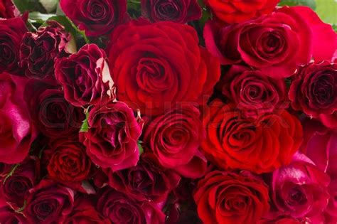 Bunch Of Fresh Vivd Red Roses Stock Image Colourbox