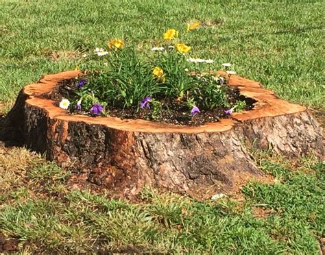 Landscaping Ideas For Tree Stumps Image To U