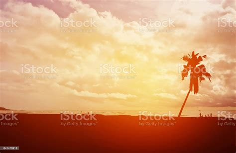 Silhouette Coconut Palm Trees And People On Beach With Sunset Sky Stock