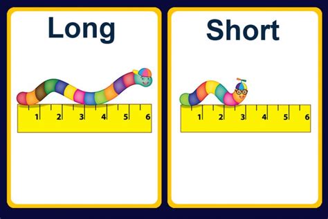Long And Short Objects Clipart Collection