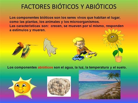 Diferencias Entre Factores Bioticos Y Abioticos Cuadros Comparativos E