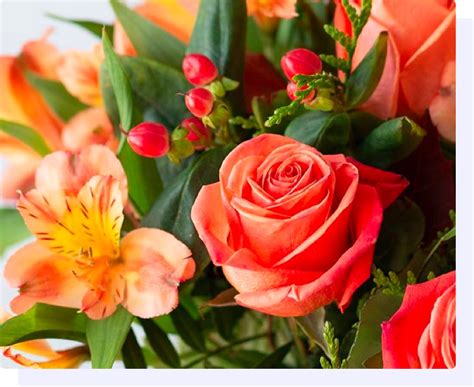 International Flower Delivery ⋆ Send Flowers With Floraqueen Country