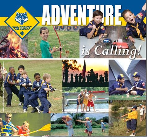 Join The Adventure Of Cub Scouts With Pack 702 Aliso Viejo Ca Patch