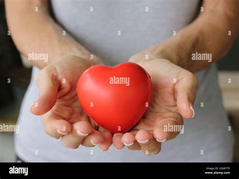 Red Heart On Womans Hands Giving Life Blood Donation Charitable