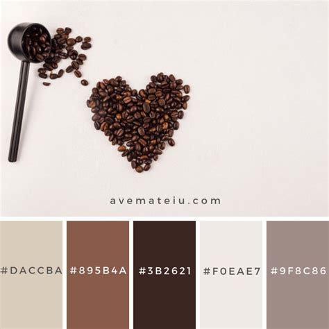 Coffee Beans Color Palette 274 Brown Color Palette Hex Color
