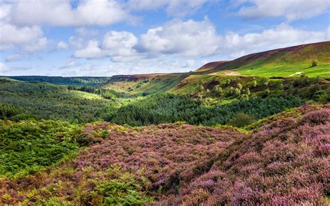Win A Three Night Stay For Two In The North York Moors