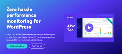 How To Create An Effective Wordpress Workflow For Developers Kinsta
