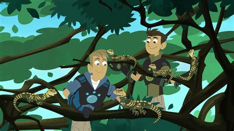 Wild Kratts Live Adds Hershey Date Life And Culture
