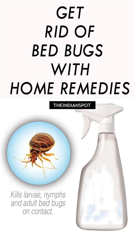 Pin By Zebi Zebi On Tips Rid Of Bed Bugs Bed Bug Remedies Rid Of Bed