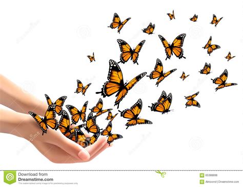 Hands Releasing Butterflies. Stock Vector - Illustration of realistic ...