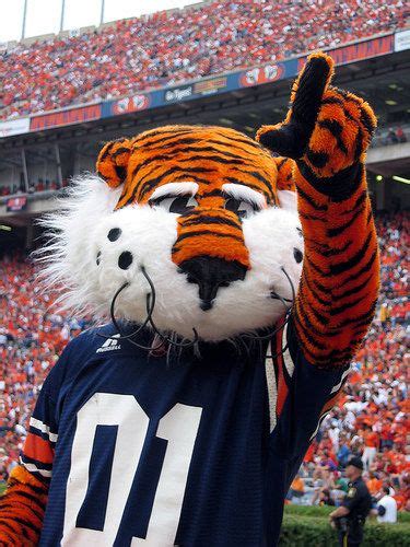 17 Best Images About Aubie On Pinterest Alabama College Football And
