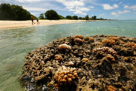 You must have your covid test within 72 hours of your travel day. Marshall Islands, low-lying US ally and nuclear testing ...