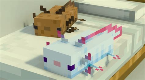 Axolotl Plushies On Beds Minecraft Texture Packaddon