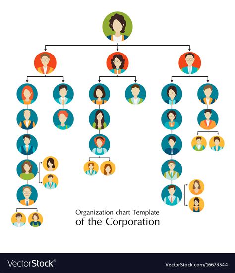 Organizational Chart Template Corporation Vector Image
