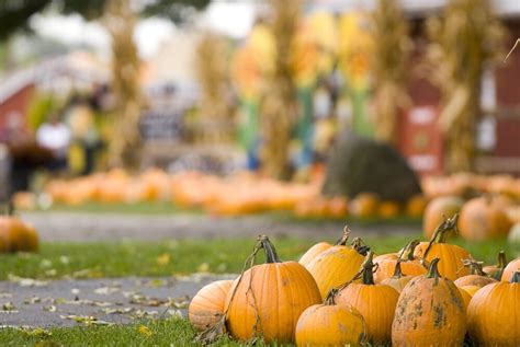 8 Fall Harvest Festivals Across The Usa En Route Us News