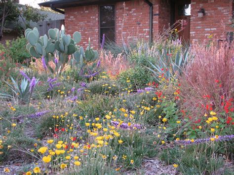 Native Plant Garden Design Elices Gardening Time