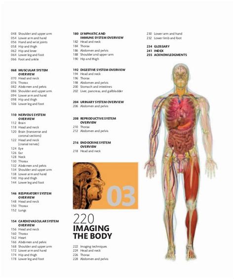 Visual Guide Human Anatomy