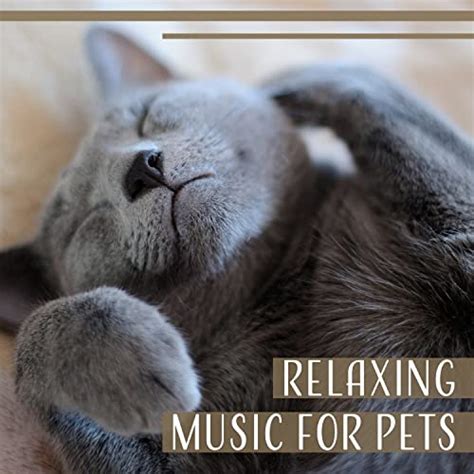 Amazon Music Pet Relax Academyのmusic To Soothe Your Cat Jp