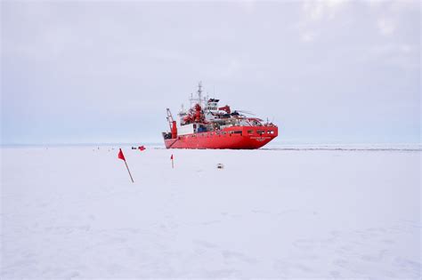 Studying The Ripple Effects Of Shrinking Arctic Sea Ice Npr And Houston