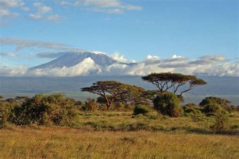 The plants determine the types of animals. Australian Tropical Savanna: Geography 5: Tropical Savanna ...