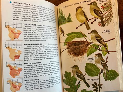 Birds Of North America Golden Guide To Field Identification Hc Dj 1