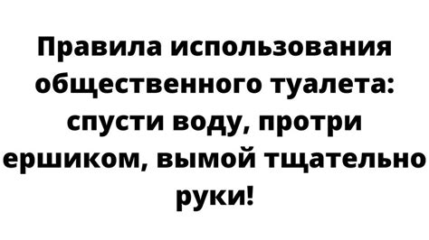 Инструкция пользования ершиком для унитаза приколы