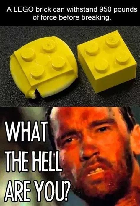 Pin By Max Robinson On Memes Lego Memes Funny Comebacks Funny Pictures