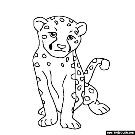 Baby Cheetah Drawing Easy Clip Art Library