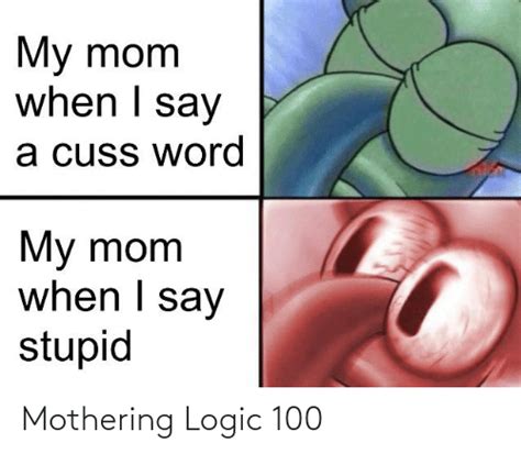 Mothering Logic 100 Logic Meme On Meme