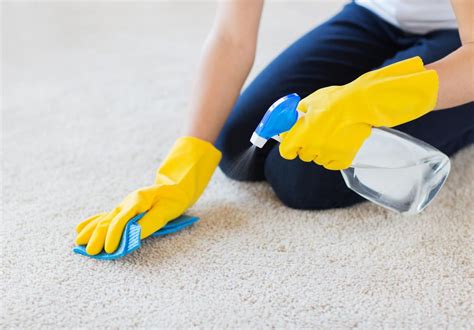 Richten sie sich hierbei nach den vorgaben des herstellers, und vermeiden sie. Teppich reinigen: Hausmittel und Tipps (mit Bildern ...