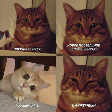 И фужерчики И фужерчики самый добрый мем конца года — про котов и