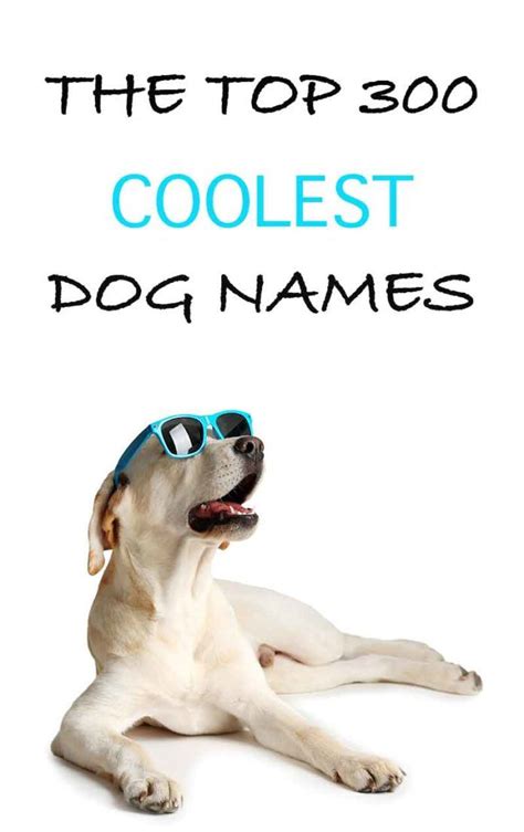 Cool Dog Names 300 Awesome Puppy Name Ideas Funny Dog Names Best