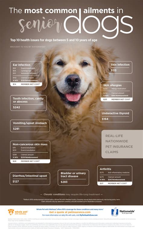It's never too late to give a senior dog some love they're all still puppies at heart. Common Ailments in Senior Dogs | Pet Health Insurance & Tips