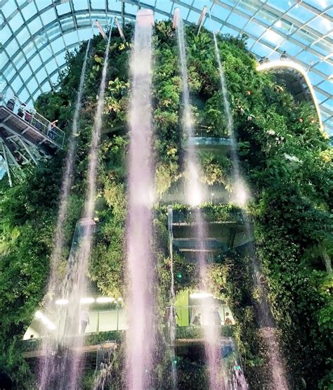 Gardens by the bay, alongside other recent installations in the property, now comprise singapore's new downtown area. Singapore: Gardens by the Bay - Cloud Forest - Tily Travels