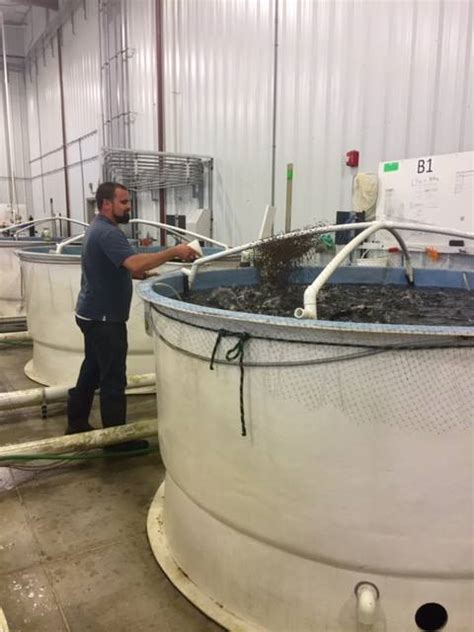 Aquaculture Pioneer Uses Soybeans To Feed Fish Siouxfallsbusiness