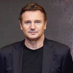 Liam Neeson Stone Who They Are